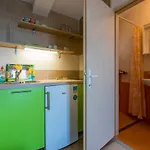 Milan Apartament *